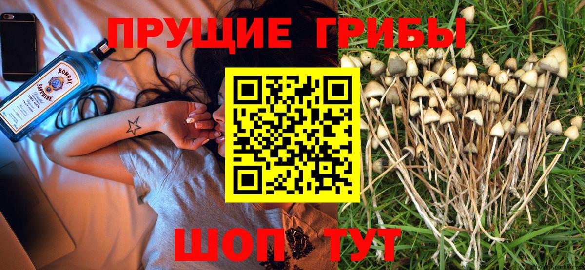 Мариинск  Галлюциногенные грибы ЛСД  Псилоцибиновые грибы мухоморы  Вход с VPN 